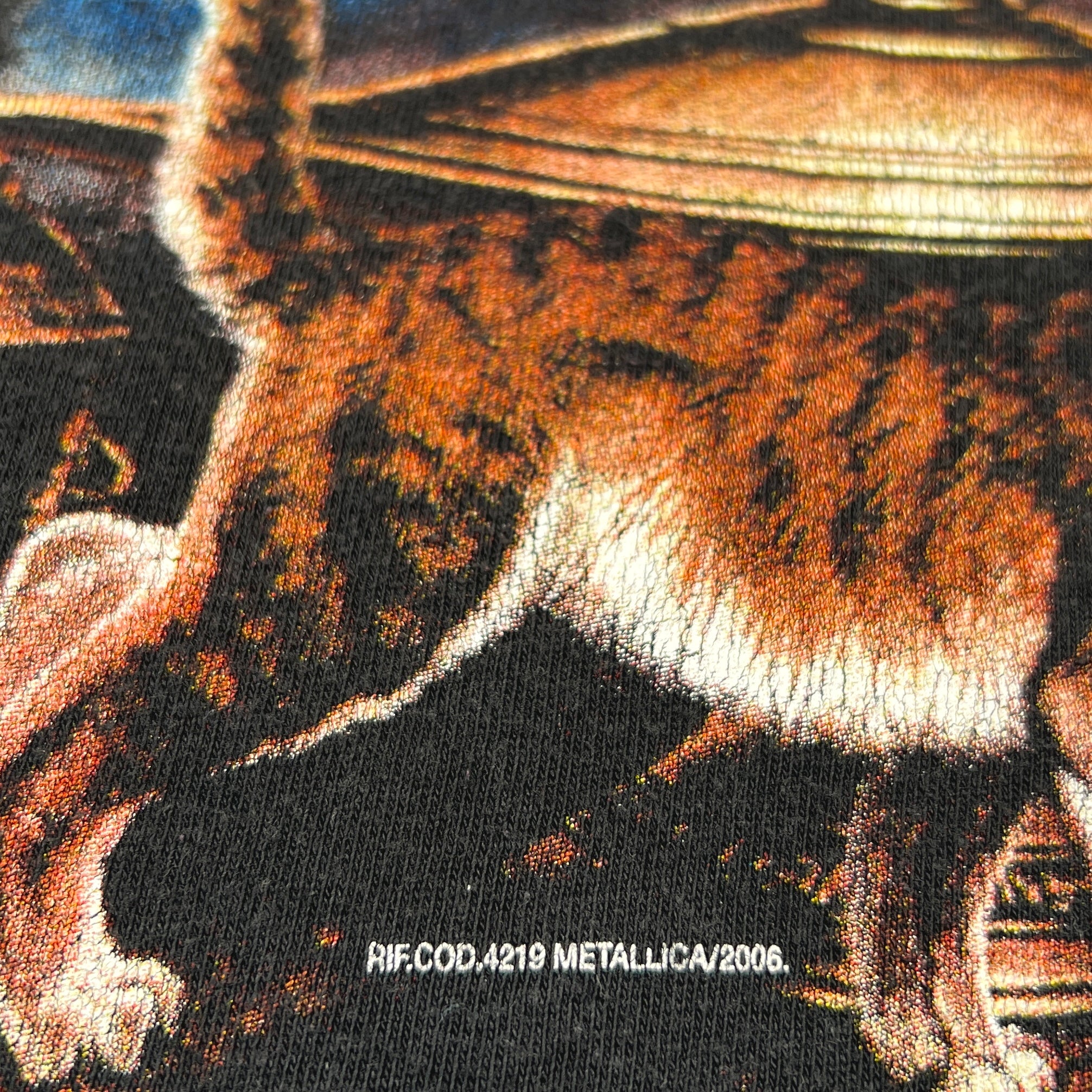 METALLICA | ‘Fakir with Cat’ | 2006 | L