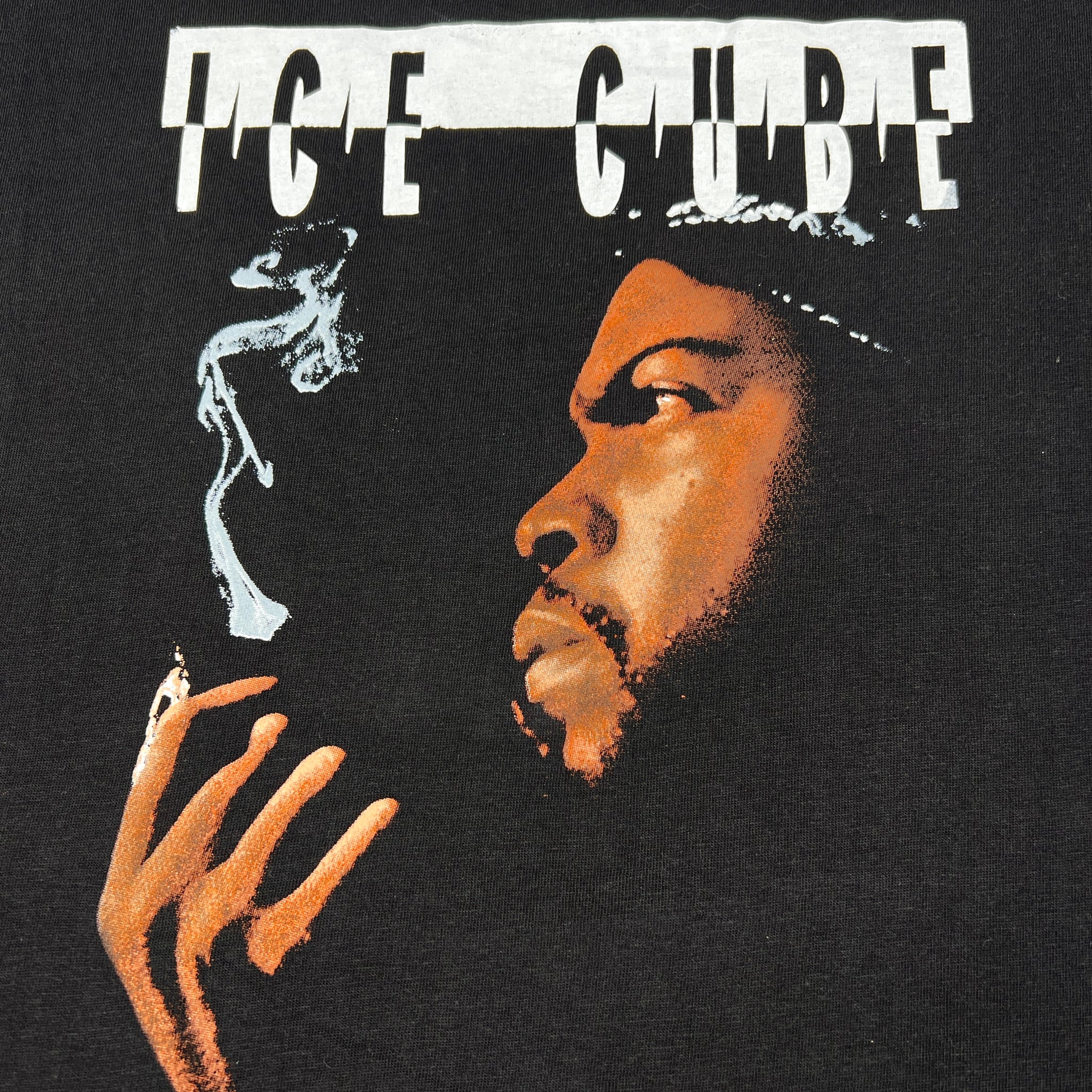 Ice Cube The Predator 1992 Winterland Rock Express Vintage 90's