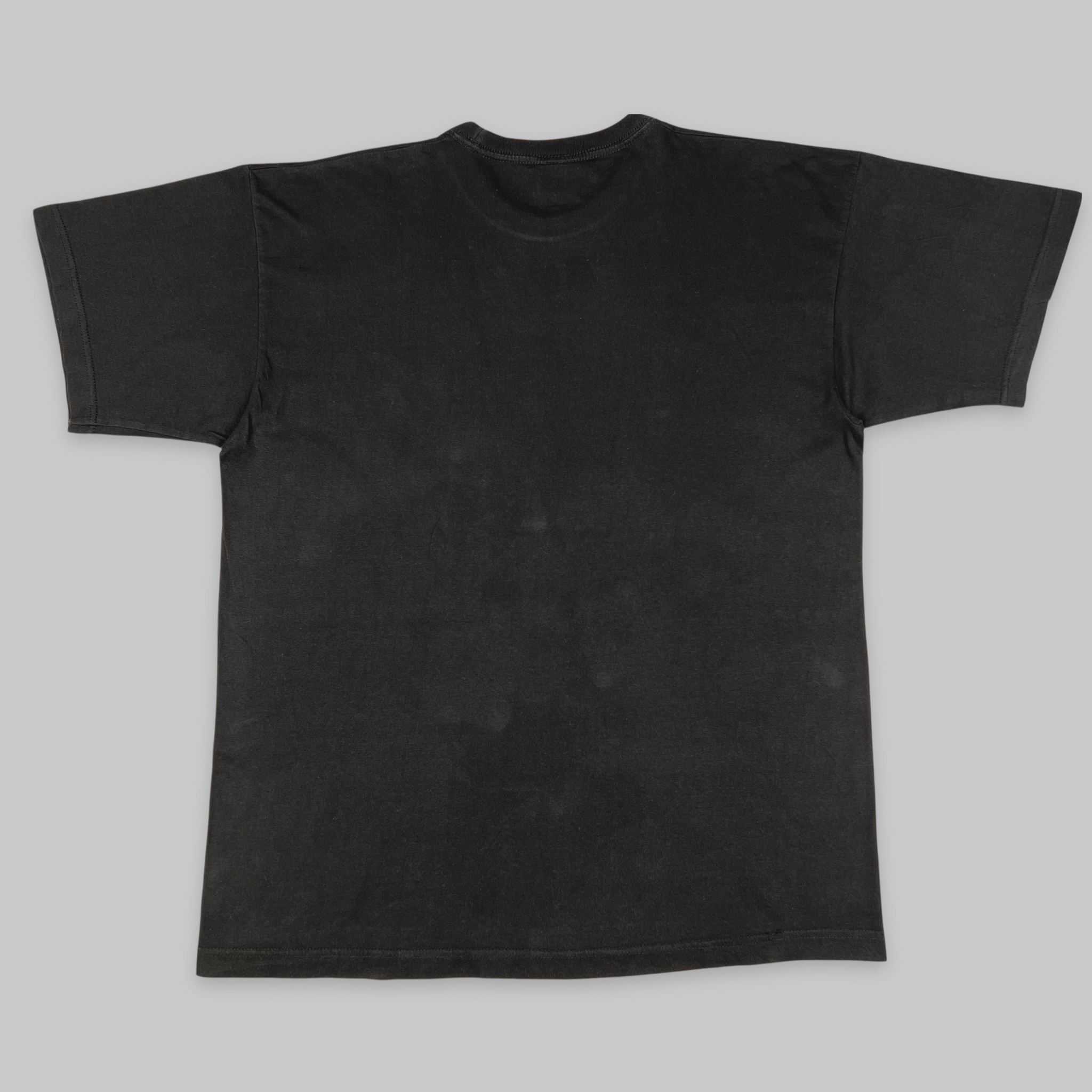 THE LORD OF THE RINGS | ‘La Communaute de L’Anneau’ | 2001 | XL